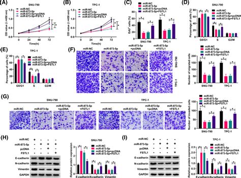 Mir P Adjusted Ptc Via Fstl Sun And Tpc Cells Were