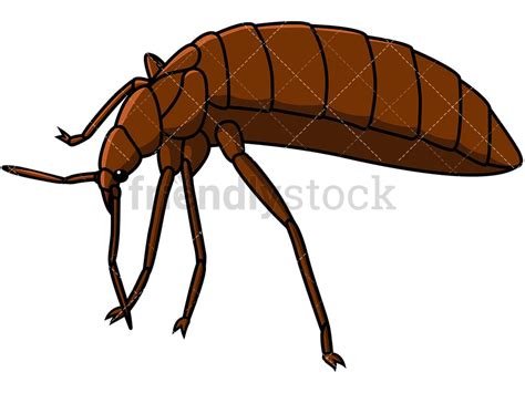 bed bug left side view cartoon vector clipart friendlystock