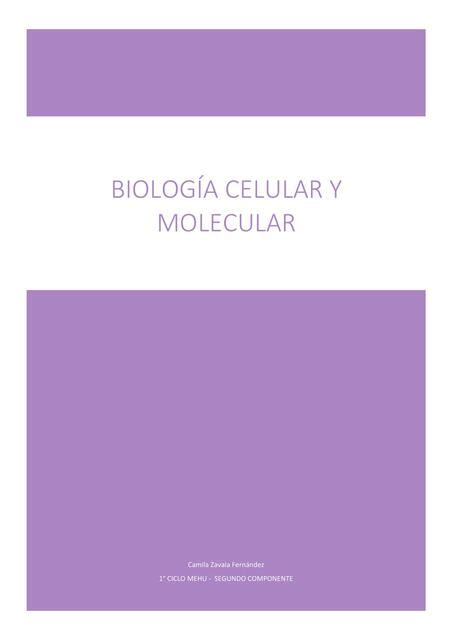 Ácidos nucleicos y replicación del ADN CAMILA RUBI uDocz