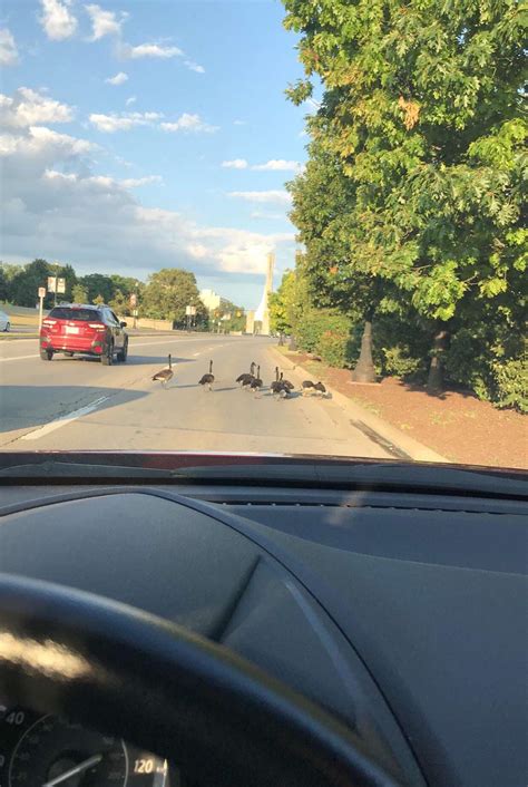 Traffic getting worse around here : r/OSU