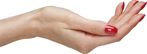 photo hand arm fingers human   jooinn