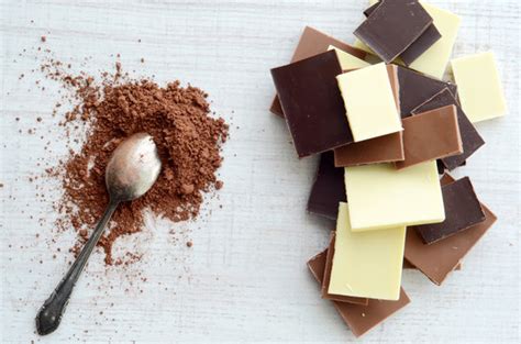 Sppon 이미지 – 찾아보기 354 스톡 사진, 벡터 및 비디오 | Adobe Stock