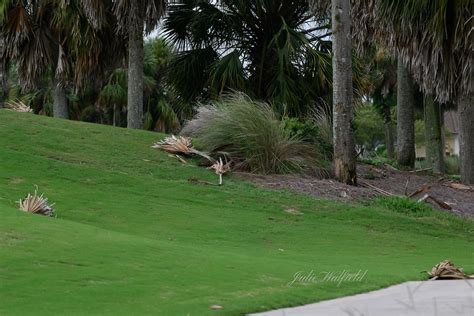 The aftermath of Hurricane Idalia in The Villages - Villages-News.com