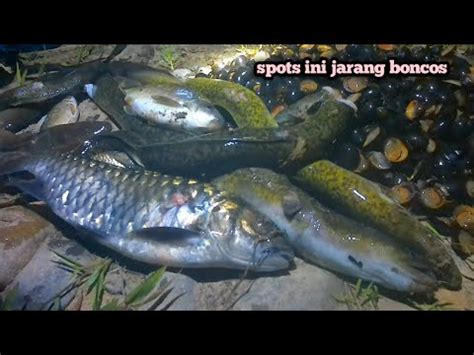 Spots Ini Bikin Penembak Ikan Ketagihan Kalo Cari Ikan Disini Jarang