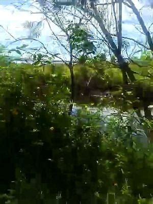 Watch BabeOriginal Public Russian Bongacams Porn SpankBang