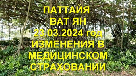 Паттайя. Ват Ян 23 03 2024 год. Изменения в медицинском страховании ...