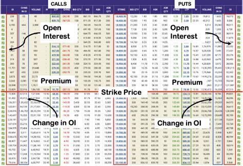 Option Chain Analysis A Detail Guide For Beginners Getmoneyrich