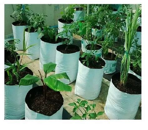 Grow Bag at best price in Quilon by AGC Exports | ID: 23906941912