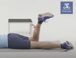 Hip External Rotation Exercises