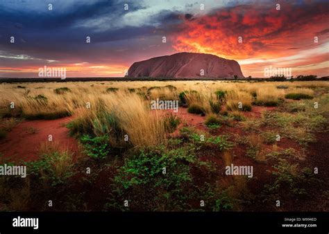 The Best Sunrise In Uluru Hi Res Stock Photography And Images Alamy