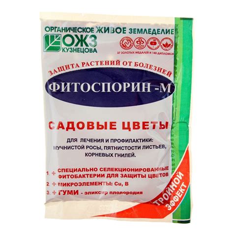 Фитоспорин: инструкция по применению и отзывы об эффективности обработок