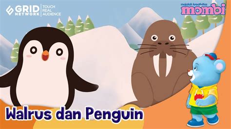 Belajar Dan Mengenal Hewan Walrus Dan Penguin Youtube