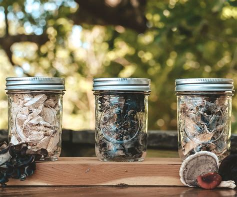 how long to dehydrate mushrooms