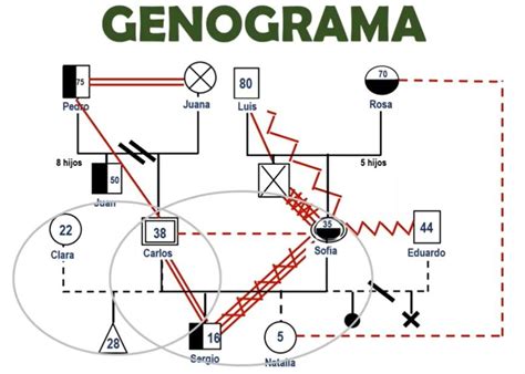 Rbol Geneal Gico De Jes S De Nazaret Informaci N Y Im Genes