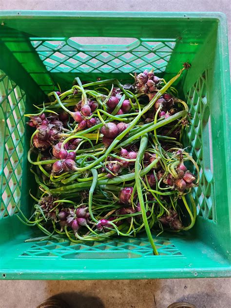 Digital-only shifts will define how courierpost operates next year 30