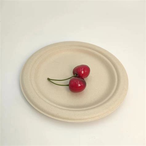 Natural Sugarcane Paper Pulp Tableware Dish Inch Disposable