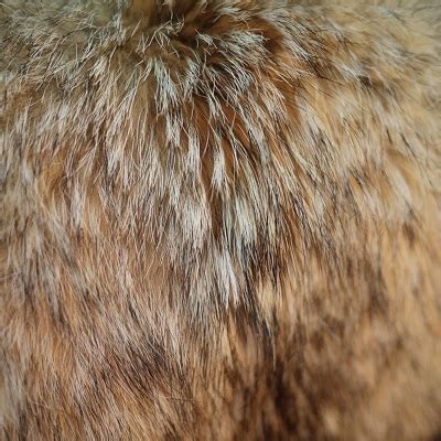 types  fur