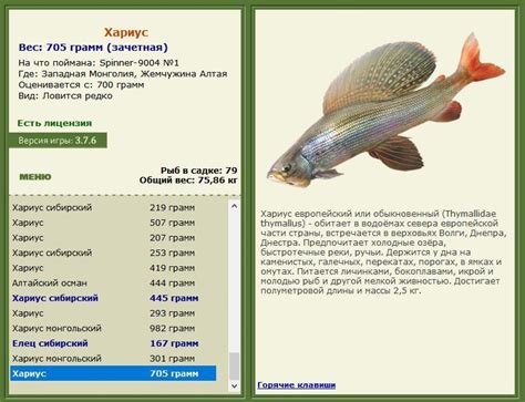 Жемчужина Алтая