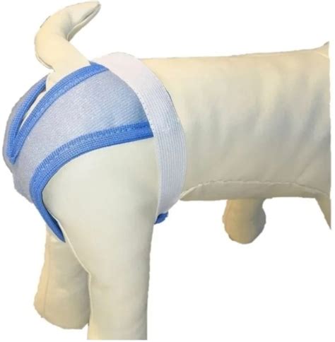 Купить Биолапа гигиенические трусы Трусы для собак многоразовые ...