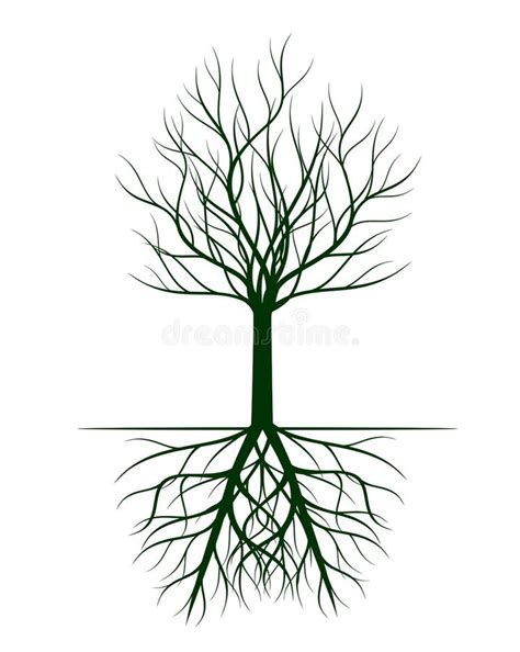 Naked Tree Vector Outline Illustration Plant In Garden Stock Vector Illustration Of Pattern