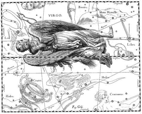 Virgo, zodiacal constellation of Maiden Drawing by Johann Hevelius