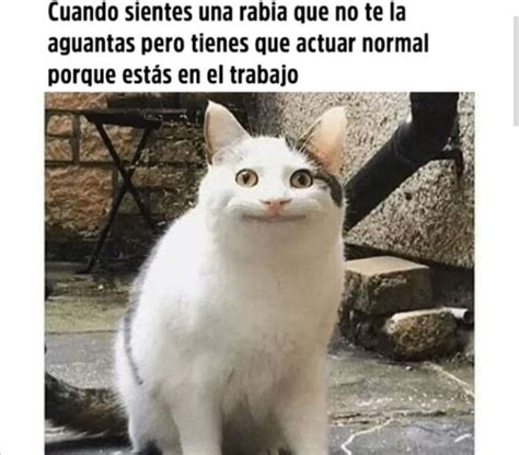 Jeje Meme By H3 Memedroid