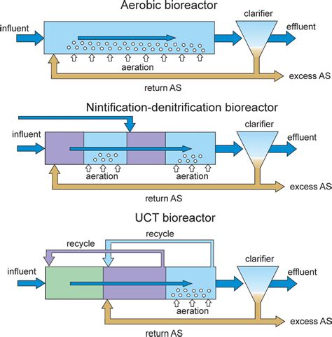 Schemes Of Three Types Of Bioreactors Showing The Different