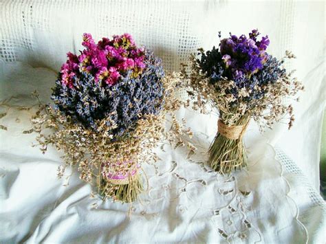 Цветы лимониум - 70 фото