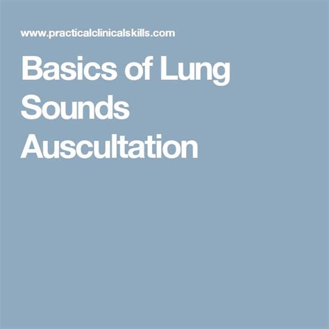 Basics of Lung Sounds Auscultation | Lung sounds, Lunges, Basic