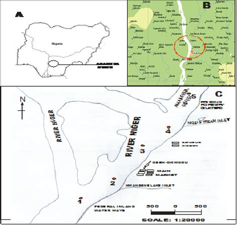 Map Of The Study Area A Nigeria Showing Anambra State B The Major