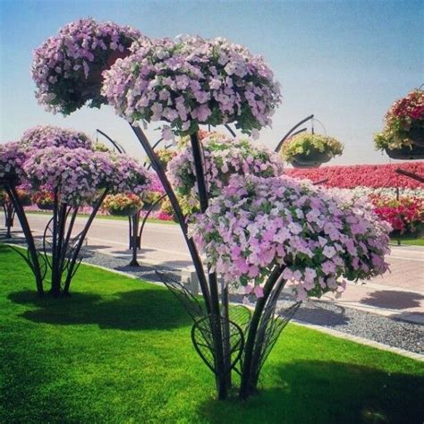 Pin de ☑️Ertuğrul☑️ en AA | Jardines verticales, Jardines bonitos ...