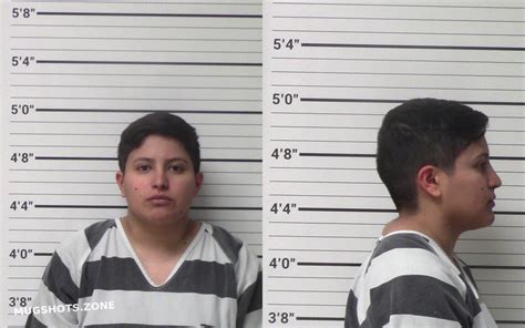 RAMIREZ TONI 12 13 2023 Kerr County Mugshots Zone