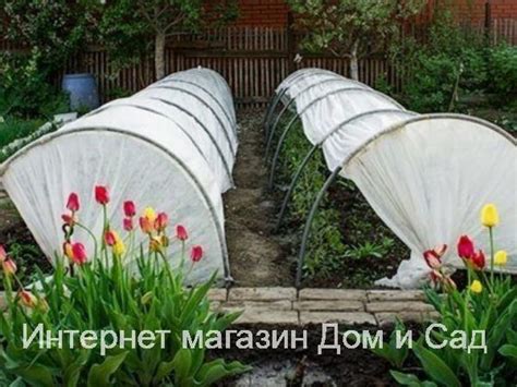 Парники из дуг с укрывным материалом: Парники из дуг с укрывным материалом