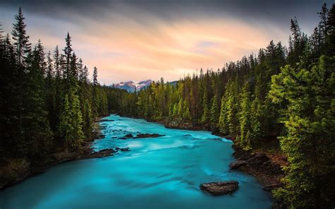 forest, river, mountain river, sunset, Yoho National Park, British