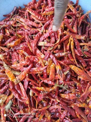 Variety Guntur Red Chilli Low Price Gunny Bag At Kg In Chennai