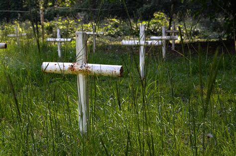Putting Names to Dozier's Forgotten Dead - Newsweek