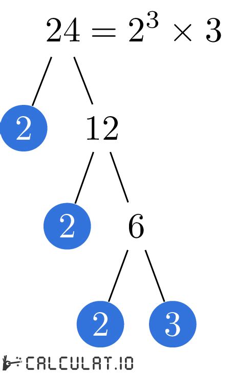 Prime Factors Of 24 Calculatio