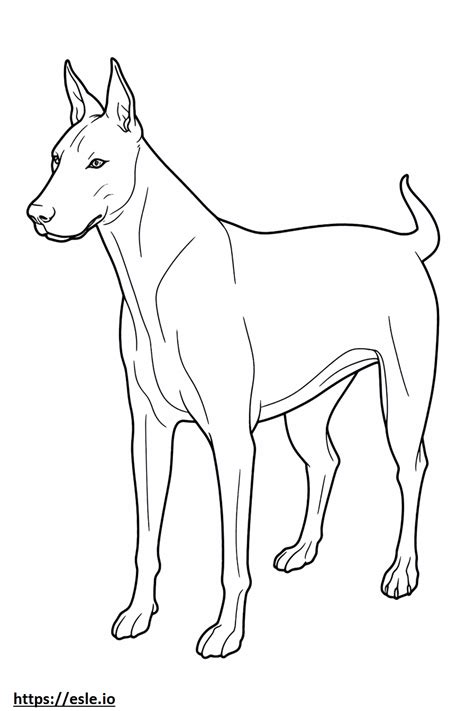 Thai Ridgeback Full Body Coloring Page