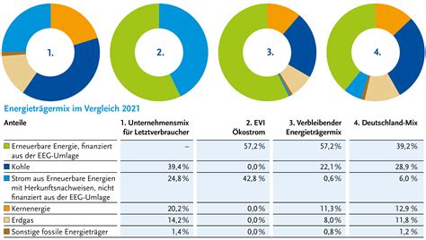 Evi Energieversorgung Hildesheim Strommix