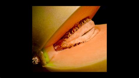 Pussy Fruit Youtube