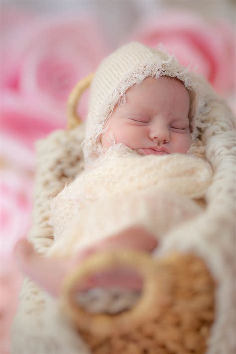 Newborn Photos Diana Hendry Photography
