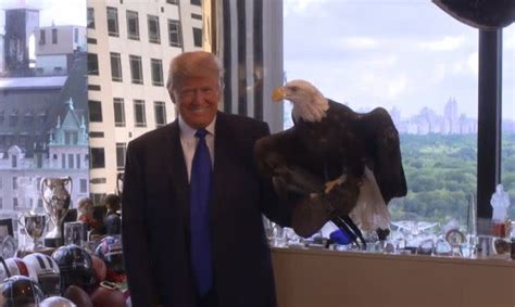 Donald Trump Nearly Attacked by Bald Eagle (Watch)