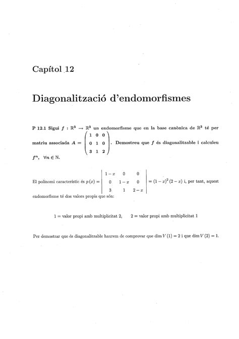 Diagonalitzacio D Endomorfismes Exemples Apunts àlgebra Lineal 2020 2021 Pdfs I Ppts Apunts De