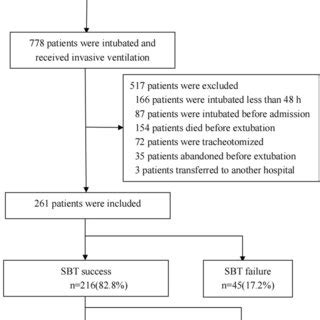 Weaning Outcome Flow Chart Icu Intensive Care Unit Sbt Spontaneous