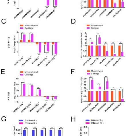 Validation Of High Throughput Sequencing Results A C E Analysis Of