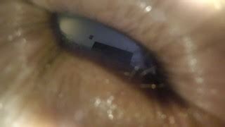 Free Solo Male Porn Videos Page From Thumbzilla