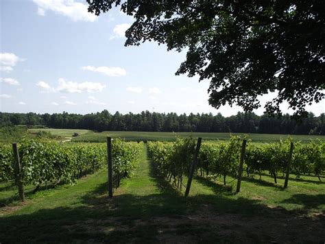 The 10 Best New Hampshire Wineries And Vineyards Updated 2023