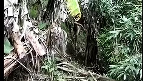 Perverted Stories Explore The Fantasy Story Porn Feat Jordan Lee Xhamster