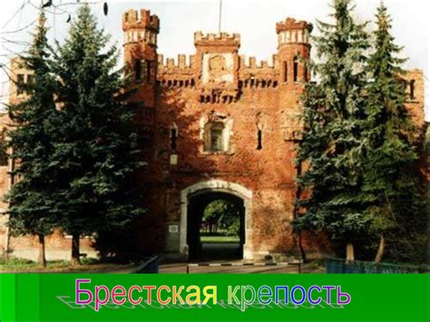 Беловежская пуща - презентация онлайн