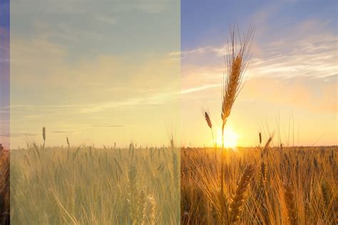 Expo Champs Le Plus Grand V Nement Agricole Ciel Ouvert Au Qu Bec